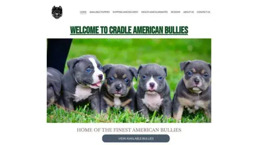 Screenshot of