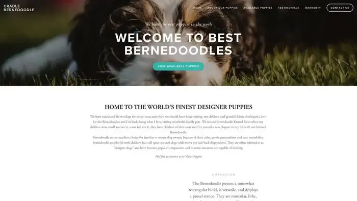Screenshot of