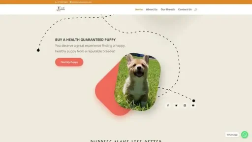Screenshot of