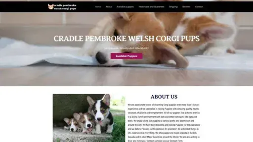 Screenshot of