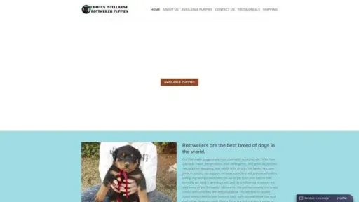 Screenshot of
