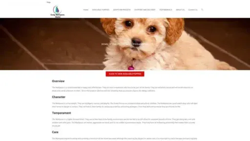 Screenshot of