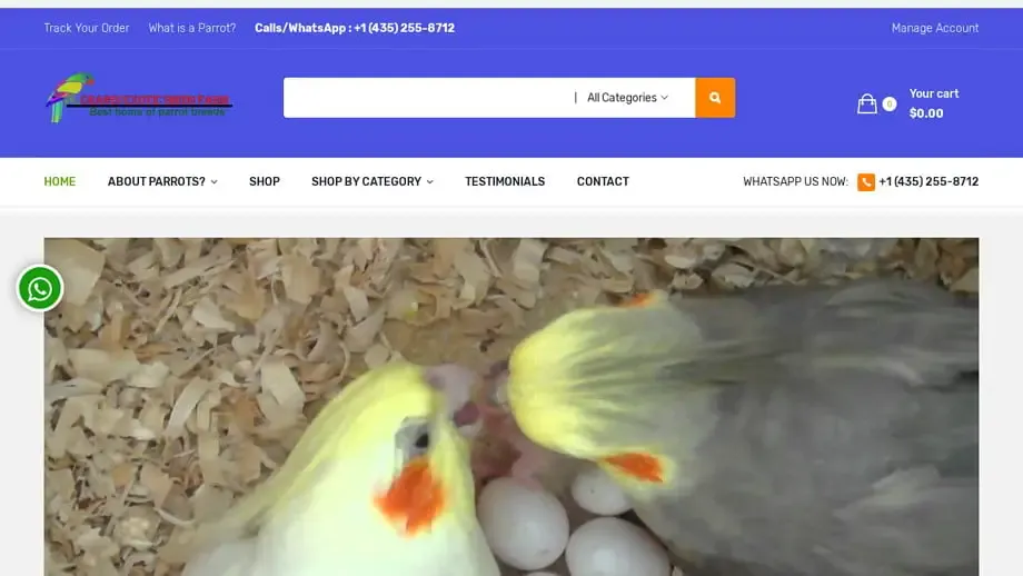 Screenshot of