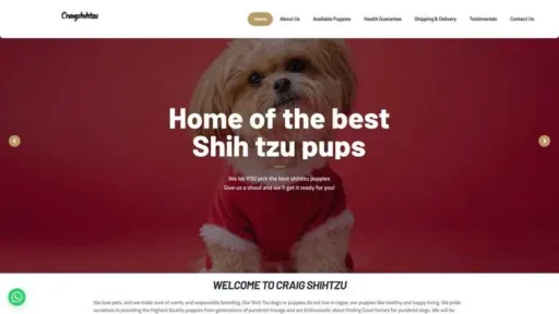 Screenshot of