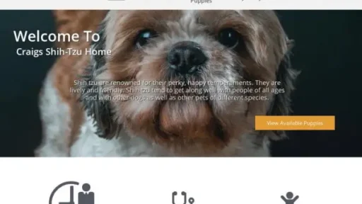 Screenshot of