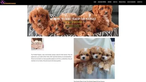 Screenshot of