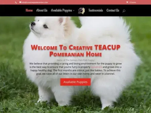 Screenshot of