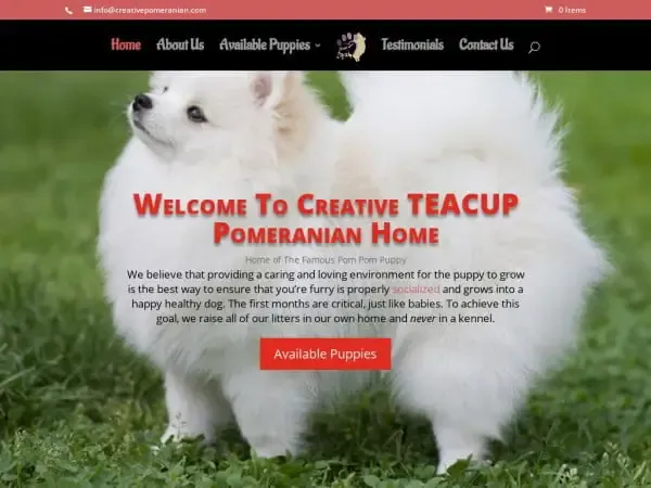 Screenshot of