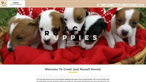 Screenshot of||