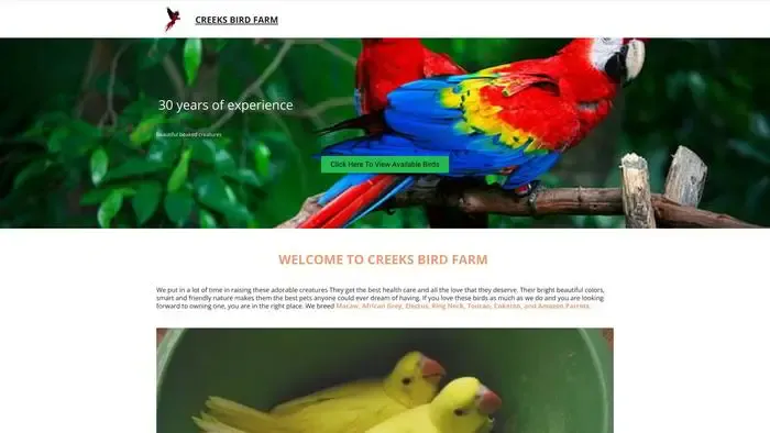 Screenshot of