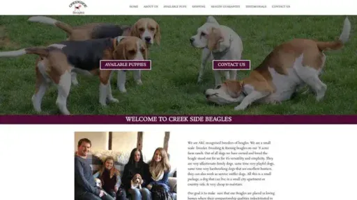 Screenshot of