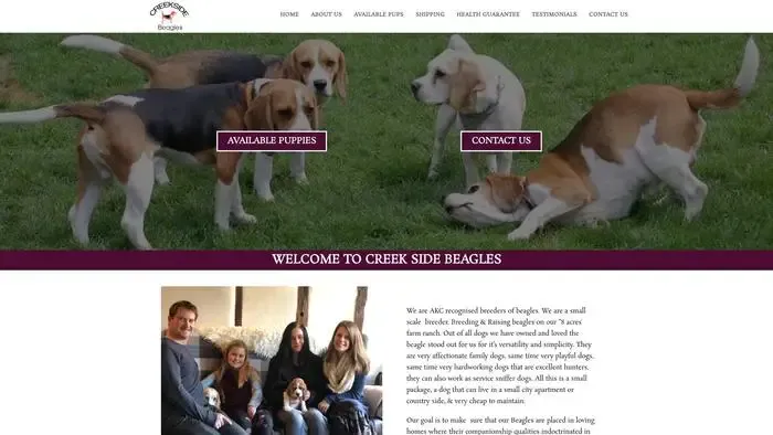 Screenshot of