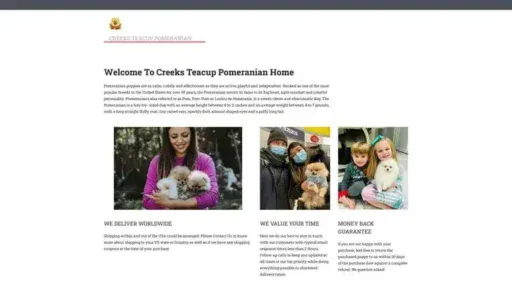 Screenshot of