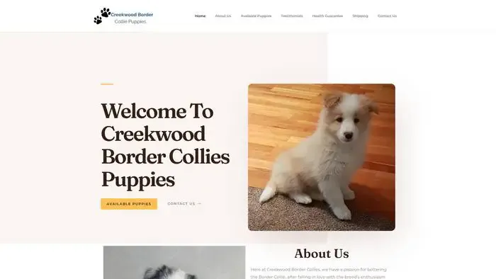 Screenshot of