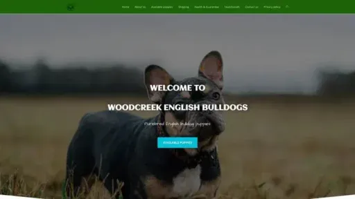 Screenshot of