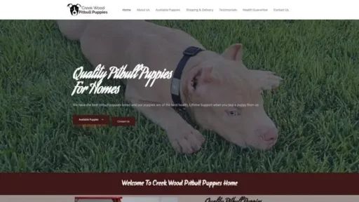 Screenshot of