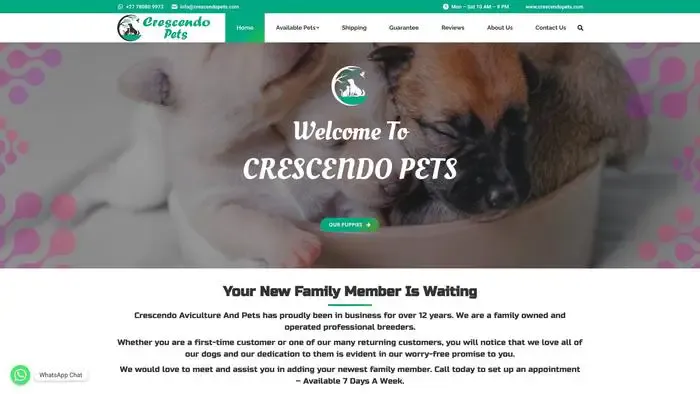 Screenshot of