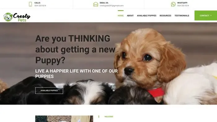 Screenshot of