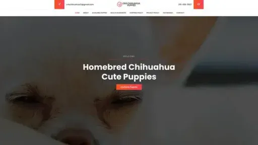 Screenshot of