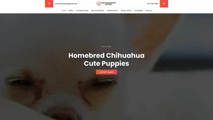 Screenshot of