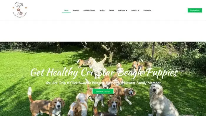 Screenshot of