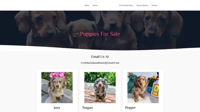 Screenshot of