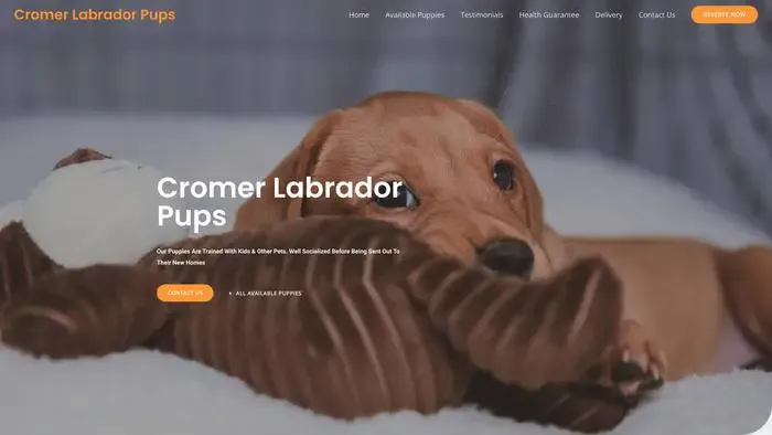 Screenshot of