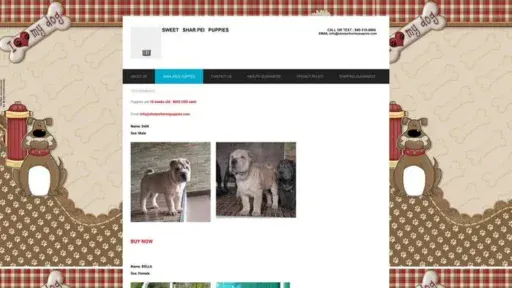 Screenshot of