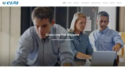 Screenshot of