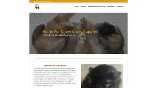 Screenshot of