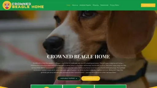 Screenshot of