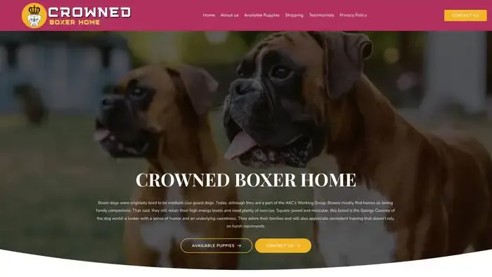 Screenshot of
