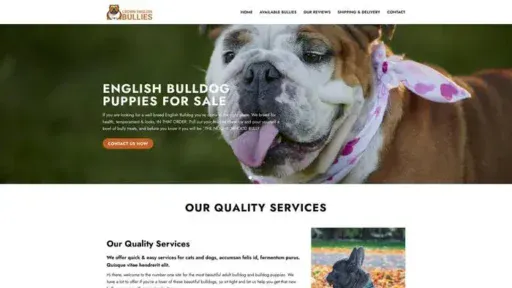 Screenshot of