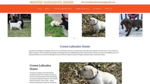 Screenshot of