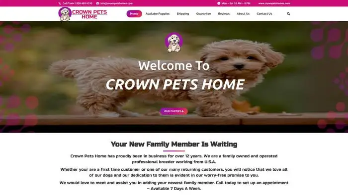 Screenshot of