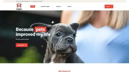 Screenshot of