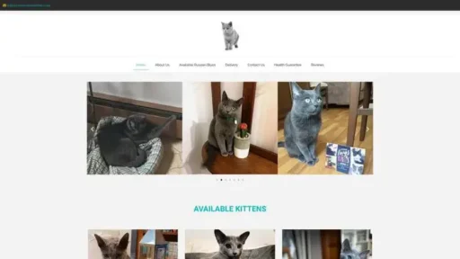 Screenshot of