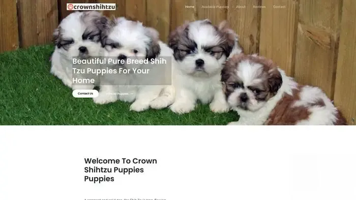 Screenshot of