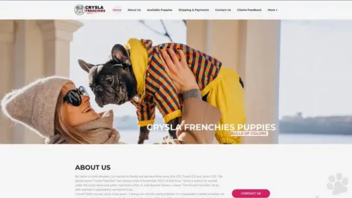 Screenshot of