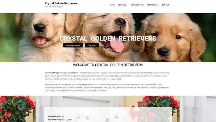 Screenshot of