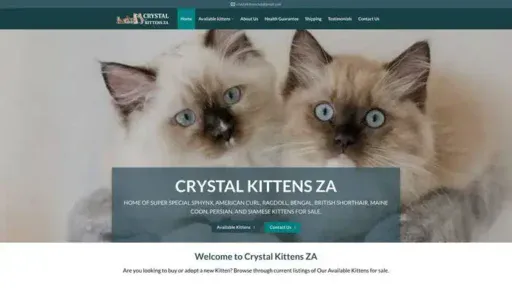 Screenshot of