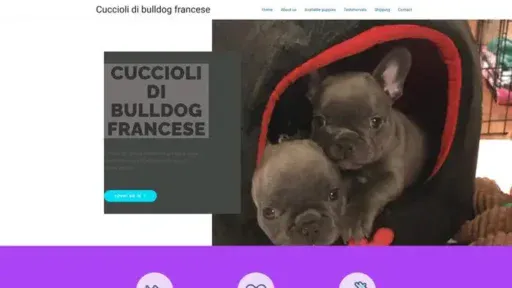 Screenshot of