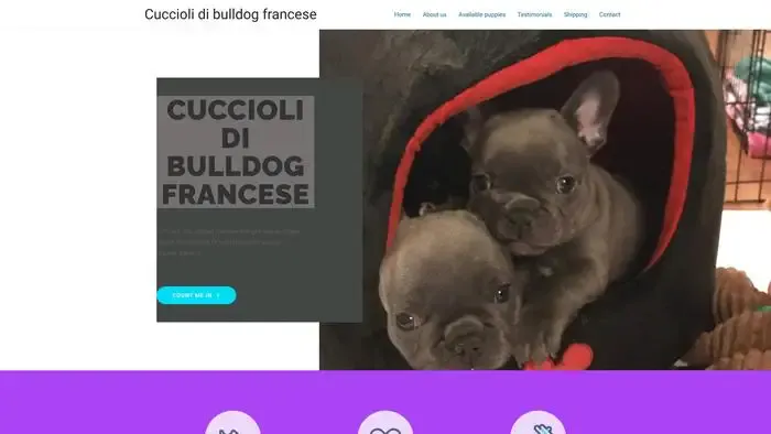 Screenshot of