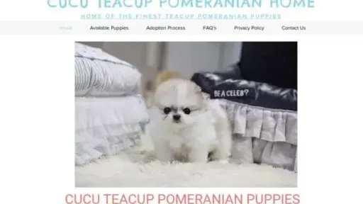 Screenshot of