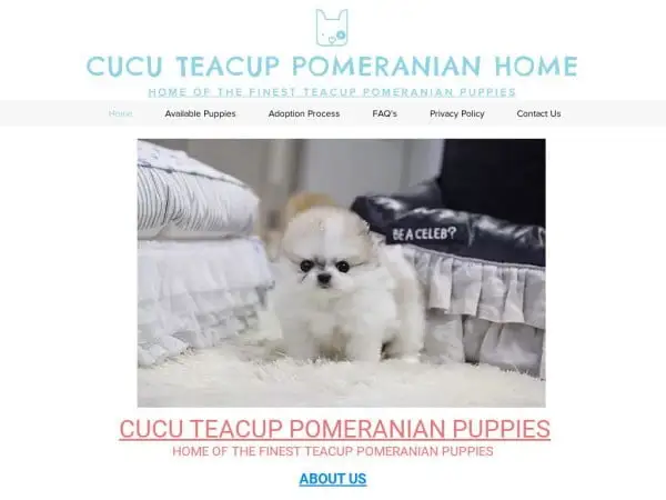 Screenshot of