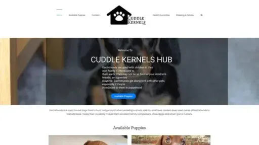 Screenshot of