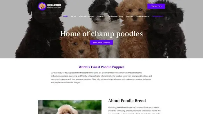 Screenshot of