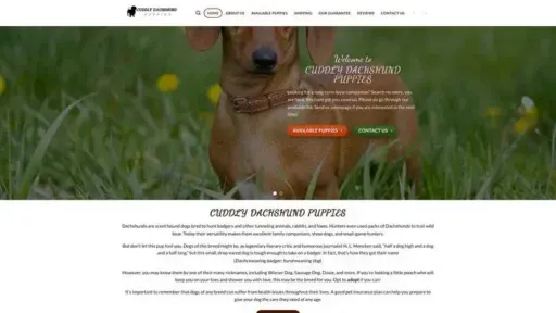 Screenshot of