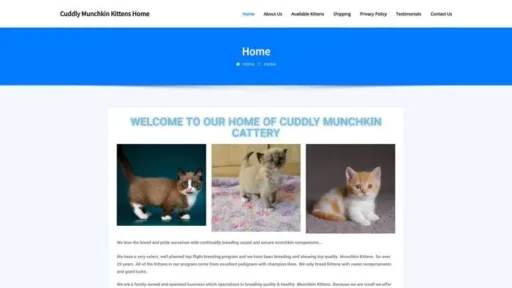 Screenshot of