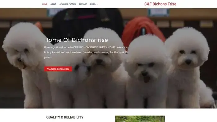 Screenshot of